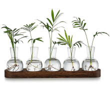 Terrario per la propagazione di piante, vaso in vetro per bulbi con vassoio in legno, vasi moderni per fiori singoli, ideali per soggiorno e ufficio.