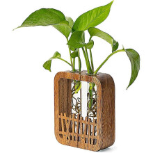 Walnut Wood Terrarium Planter with 2 Glass Test Tube Vases & Boho Plant Stand for Hydroponics, Home