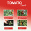 Vitax Vitax High Potash Tomato Feed Concentrate 2 Liter 4