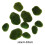 10 Pcs Artificial Moss Rocks Miniature Figurine for Terrariums Crafts 5