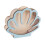 Shell Storage Container Display Case, Portable Seashell Keepsake Box for Living Room Mantel 4