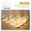 Glass Display Cover Dust-Proof 12x12x12cm Protective Case for Desk Decor, 1Pc 4