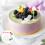 Beach Decor Miniature Toys Assorted 17Pcs 5