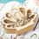 Wooden Seashell Display Case Coastal Room Decor Beach Theme 3