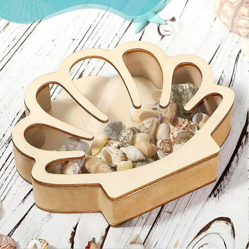 Wooden Seashell Display Case Coastal Room Decor Beach Theme 2