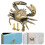 Unique Brass Crab Door Handle Nautical Drawer Pull Coastal Beach Decor 3