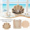 Wooden Seashell Display Case for Coastal Room Decor, Beach Theme 5