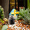 Landscape Glass Bottles for Succulent Propagation, 10-Pack 3