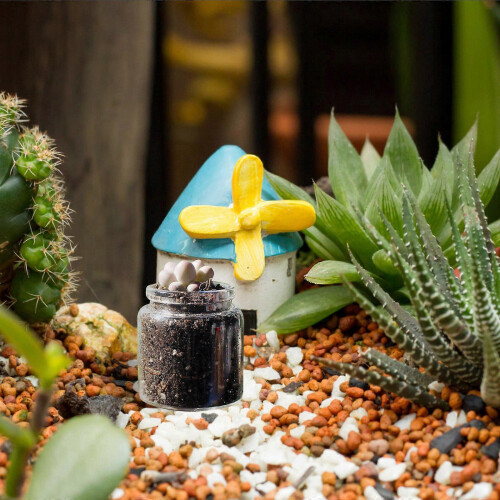 Landscape Glass Bottles for Succulent Propagation, 10-Pack 2