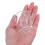 Landscape Glass Bottles for Succulent Propagation, 10-Pack 4