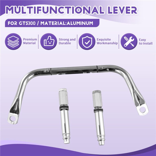 Motorcycle Multifunctional Lever Child Safety Grab Bars Navigation Bracket Storage Hook Bracket for  GTS300 Silver 1