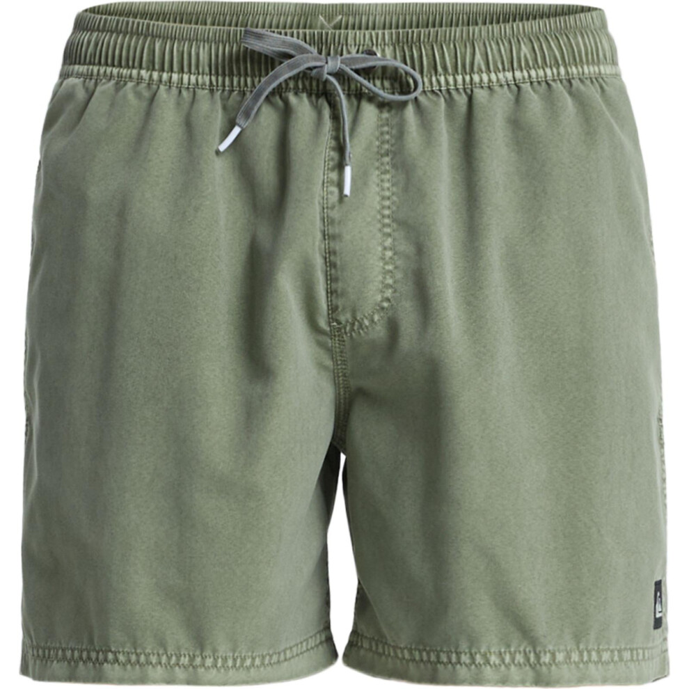 Quiksilver (2Xl, Grape Leaf) Mens Everyday Surfwash Volley Swim Shorts
