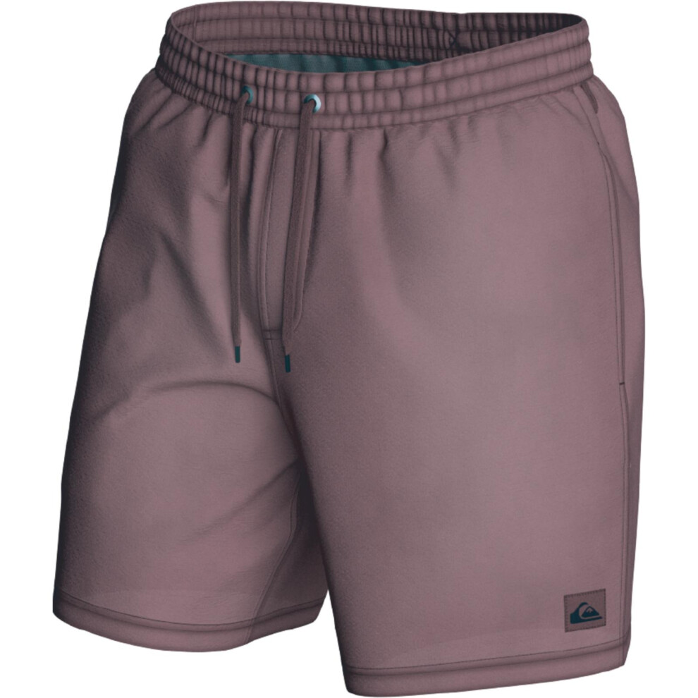 Quiksilver (Xl, Riviera) Mens Everyday Surfwash Volley Swim Shorts