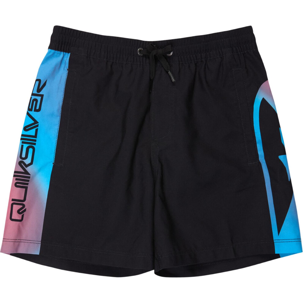 Quiksilver (Xl, Anthracite) Kids Everyday Holmes Volley 16" Swim Shorts