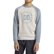 (10Y UK, Snow Heather/Ashley Blue) DC Shoes Kids DC Star Pilot Pullover Casual Skateboarding Sweatshirt