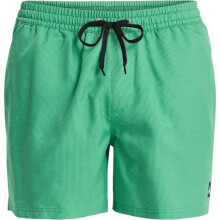 (L, Leprechaun) Quiksilver Mens Everyday Deluxe 15" Swim Shorts