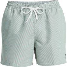 (L, Forest) Quiksilver Mens Everyday Deluxe 15" Swim Shorts