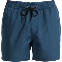(2XL, Dark Navy) Quiksilver Mens Everyday Deluxe 15" Swim Shorts