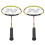 Badmintonová sada - 2 rakety, 3 míčky, obal 3