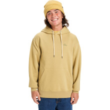 (S, Sponge) Quiksilver Mens Salt Water Embroidered Hoodie