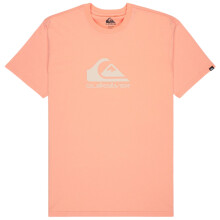 (S, Peach Parfait) Quiksilver Mens Ev Comp Logo Short Sleeve T-Shirt
