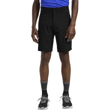 (S, Phantom) Jack Wolfskin Mens Pico Trail Walking Shorts