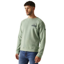 (XL, Glacier Mountain) Regatta Mens Nithsdale Sweatshirt