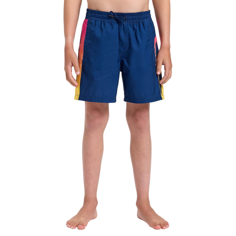 Quiksilver (Xs, Estate Blue Holmes) Mens Everyday Holmes Volley 14"