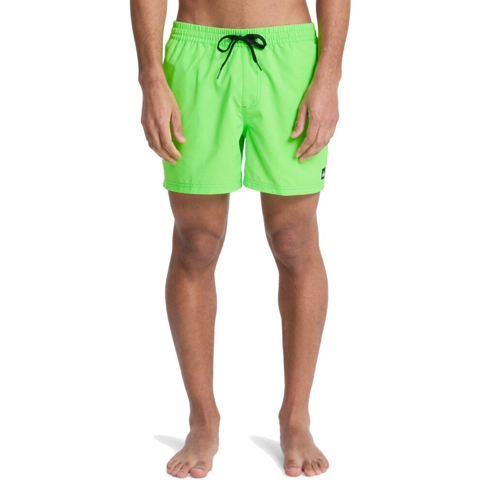 Quiksilver (M, Green Gecko) Mens Everyday Solid 15" Swim Shorts