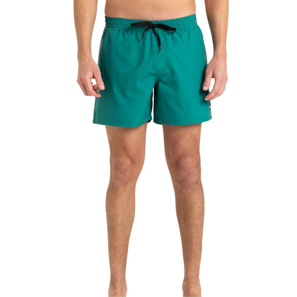 Quiksilver (S, Teal Green) Mens Everyday Solid 15" Swim Shorts