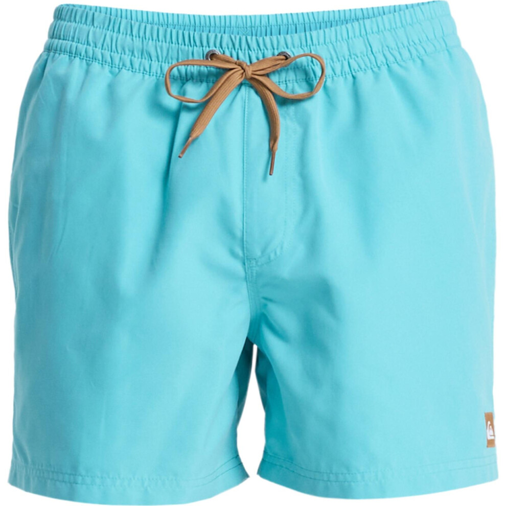 Quiksilver (Xl, Aqua) Mens Everyday Solid 15" Swim Shorts