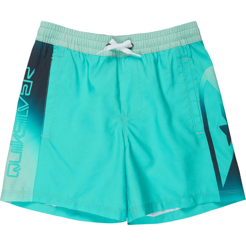 Quiksilver (Xl, Aqua Holmes) Kids Everyday Holmes Volley 16" Swim Shorts