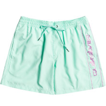 (16 Yrs, Beach Glass) Quiksilver Boys Kids Everyday Vert 14" Summer Swim Swimming Boardshorts