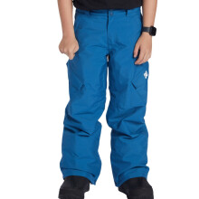 (8YRS, Black) DC Shoes Kids Banshee Waterproof Insulated Snow Pants