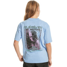 (16Y, Hydrangea) Quiksilver Kids Back Flash Short Sleeve Crew Neck Cotton T-Shirt Top Tee