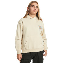 (8 Yrs, Birch) Quiksilver Kids Drybridge Hooded Pullover Sweatshirt Hoody Hoodie
