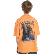 (16Y, Tangerine) Quiksilver Kids Back Flash Short Sleeve Crew Neck Cotton T-Shirt Top Tee
