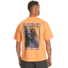 Quiksilver Mens Back Splash Short Sleeve Crew Neck Cotton T-Shirt Top Tee
