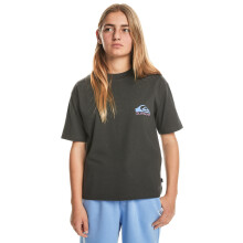 (16 Yrs, Tarmac) Quiksilver Kids Take Us Back Short Sleeve Crew Neck T-Shirt Top Tee