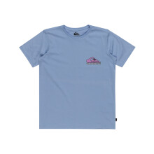 (16 Yrs, Hydrangea) Quiksilver Kids Take Us Back Short Sleeve Crew Neck T-Shirt Top Tee