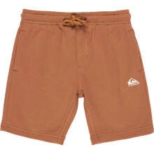 (6 Yrs, Tobacco Brown) Quiksilver Kids Easy Day Sweat Shorts
