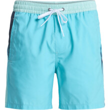(M, Aqua Holmes) Quiksilver Mens Everyday Holmes Volley 16" Swim Shorts