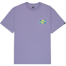 (2XL, Daybreak) Quiksilver Mens EV Starfish Stamp Graphic Short Sleeve T-Shirt