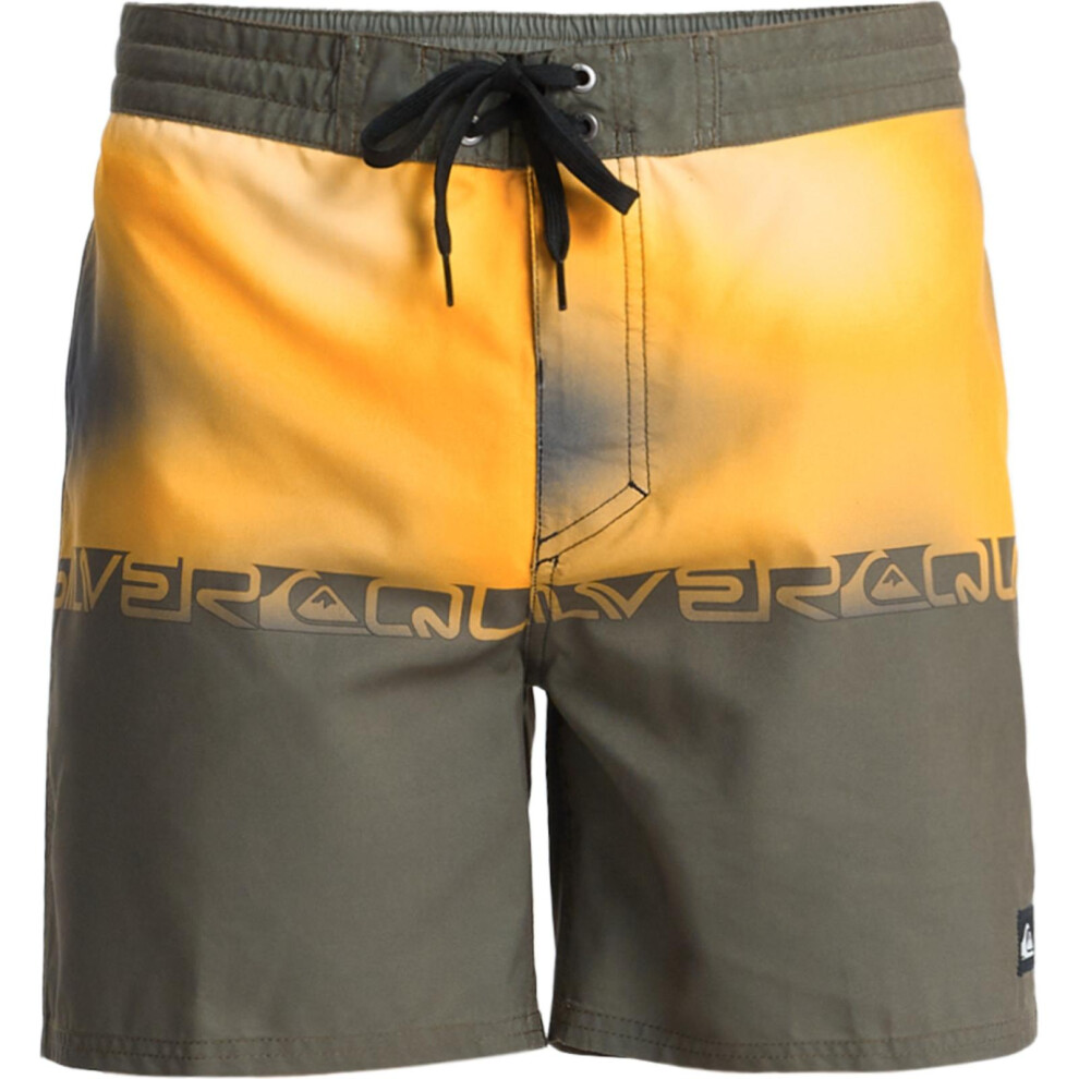 Quiksilver (36, Grape Leaf Holmes) Mens Everyday 16" Swim Shorts