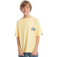 (16 Yrs, Mellow Yellow) Quiksilver Kids Take Us Back Short Sleeve Crew Neck T-Shirt Top Tee