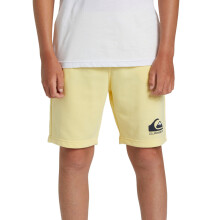 (8 Yrs, Mellow Yellow) Quiksilver Kids Easy Day Summer Sweatpants Sweat Shorts