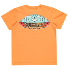 Quiksilver Kids Tropical Fade Short Sleeve Crew Neck Cotton T-Shirt Top Tee