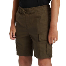 (12 Yrs, Grape Leaf) Quiksilver Kids Taxer Walking Hiking Cargo Shorts