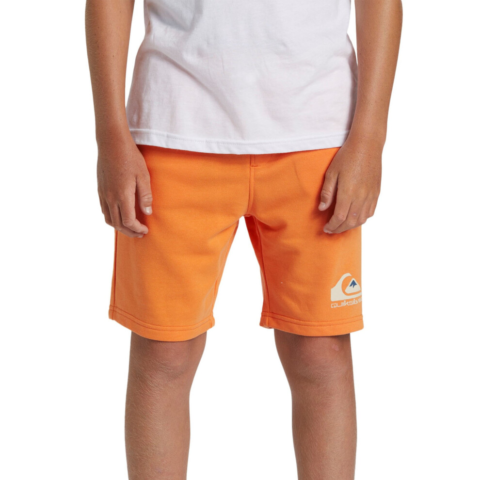 Quiksilver (8 Yrs, Tangerine) Kids Easy Day Summer Sweatpants Sweat Shorts