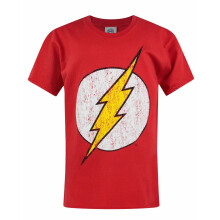 (13-14 Years) DC Comics The Flash Short Sleeved T-Shirt (Boys Red)